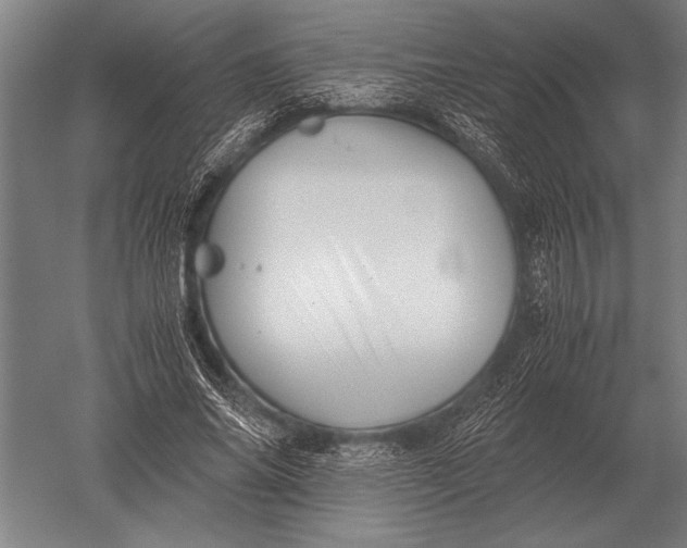 X0000051250686200507082151