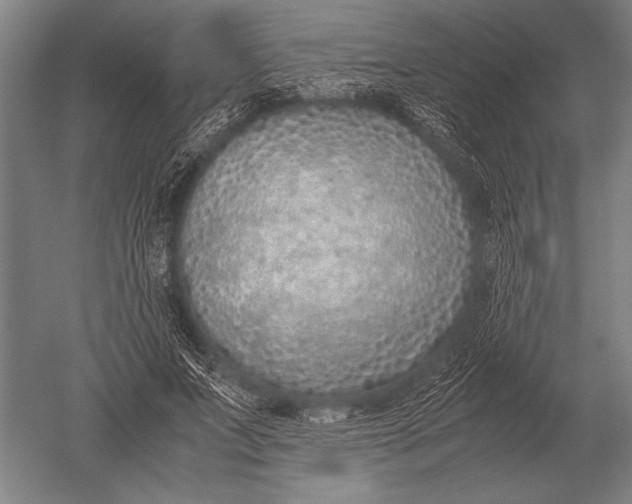 X0000051250687200507082151