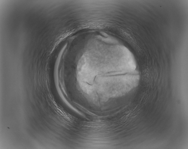 X0000051250688200507082151