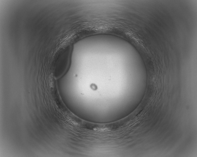 X0000051250689200507082151