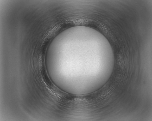 X0000051250690200507082151