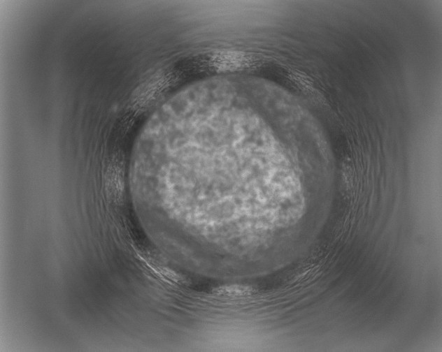 X0000051250691200507082150