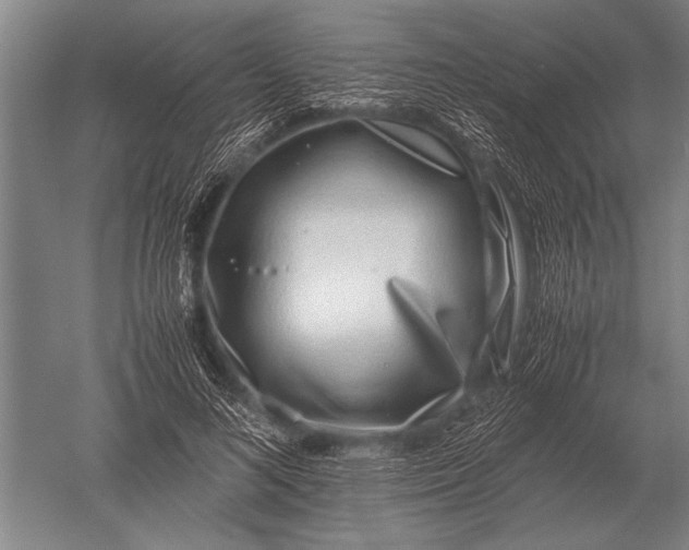 X0000051250692200507082150