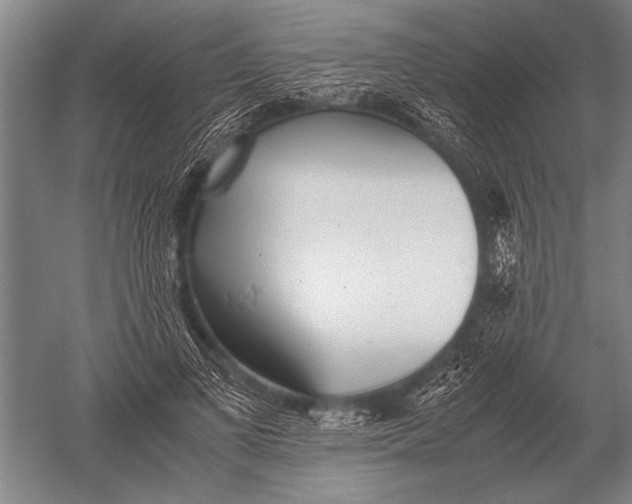 X0000051250693200507082150