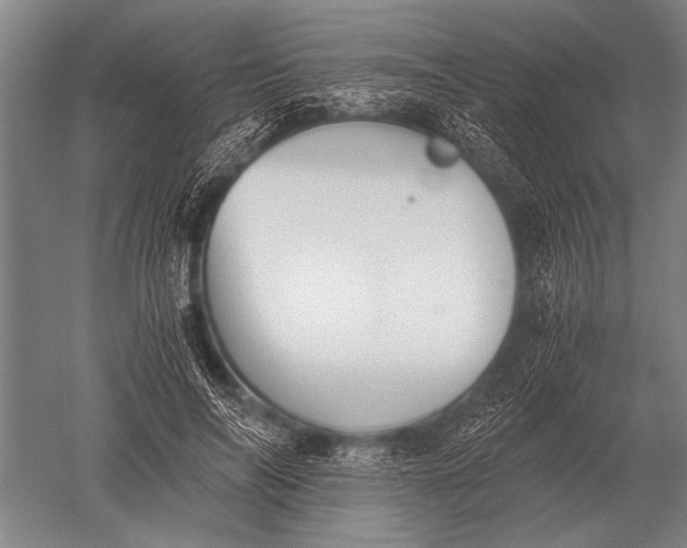 X0000051250694200507082150