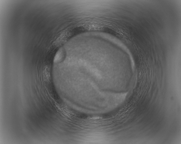 X0000051250695200507082150