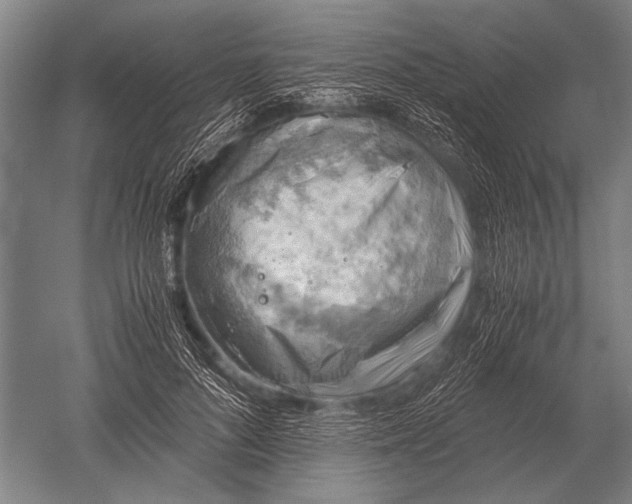 X0000051250696200507082150