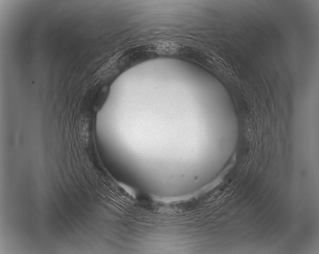 X0000051250697200507082150