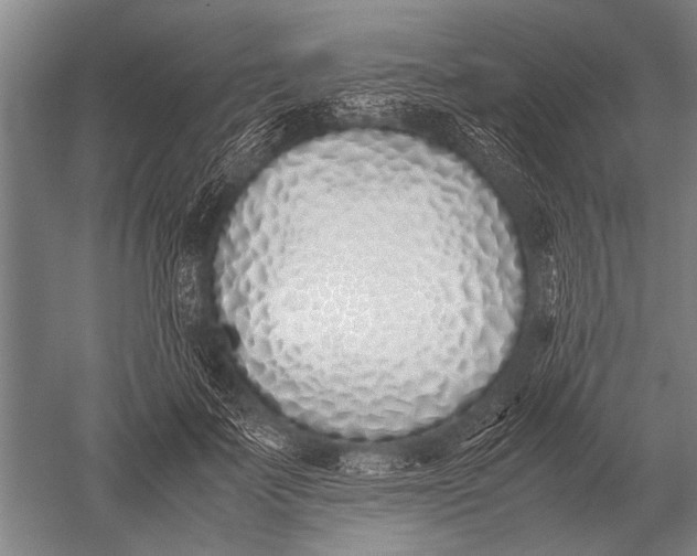 X0000051250699200507082150