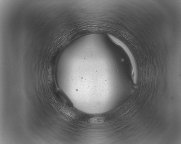 X0000051250700200507082150