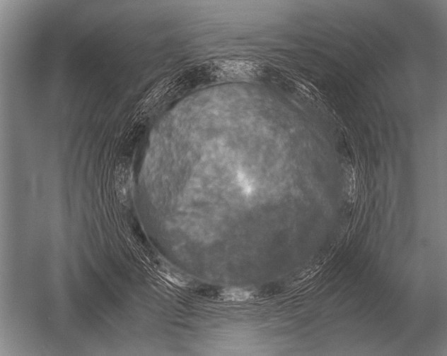 X0000051250701200507082150