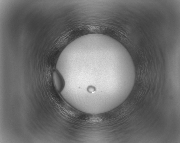 X0000051250702200507082150