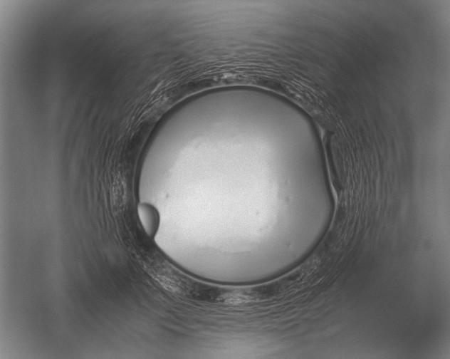 X0000051250703200507082150