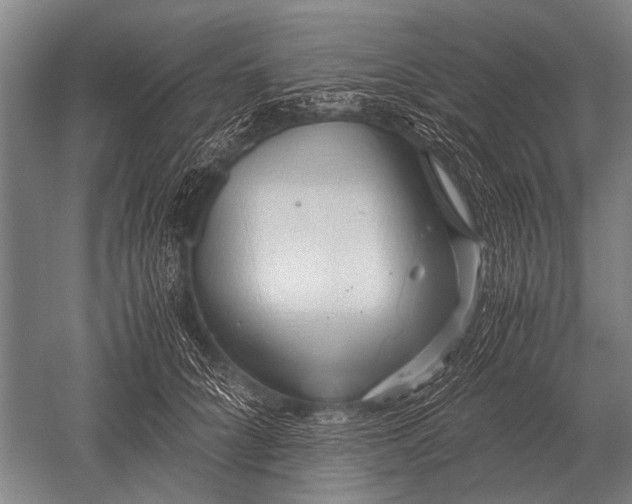 X0000051250704200507082150