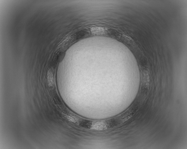 X0000051250705200507082150