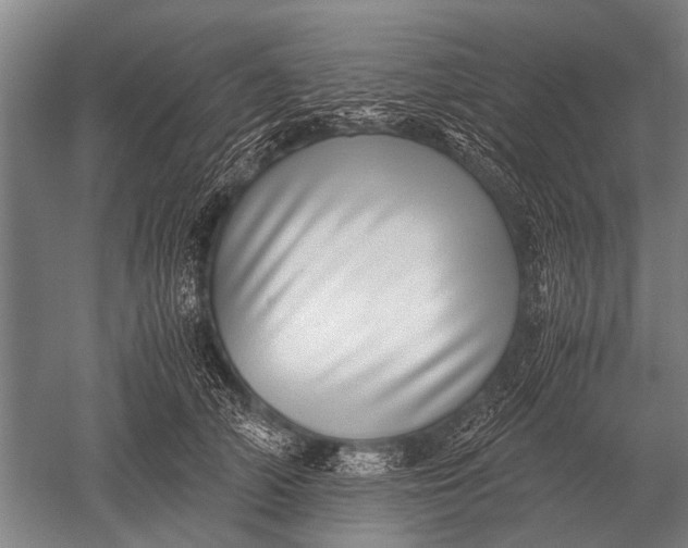 X0000051250706200507082150