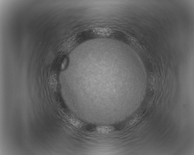 X0000051250707200507082150