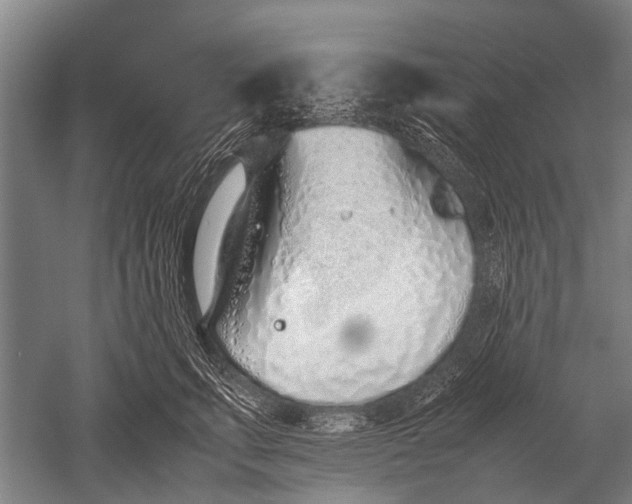 X0000051250711200507082150