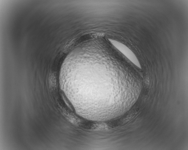 X0000051250715200507082150