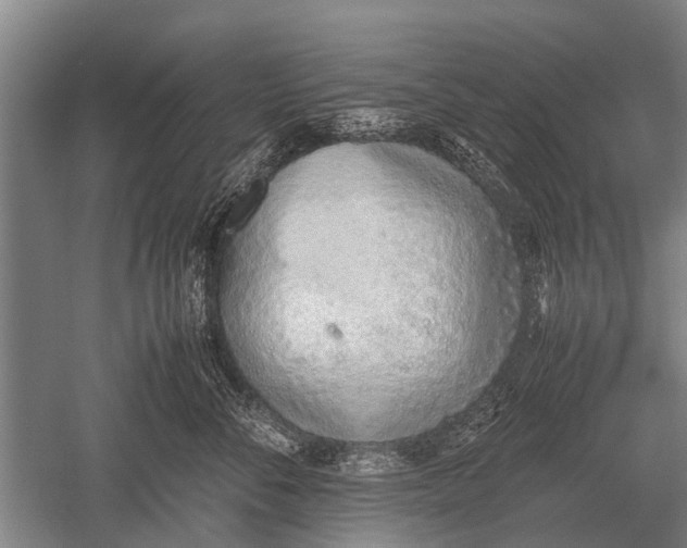 X0000051250716200507082150