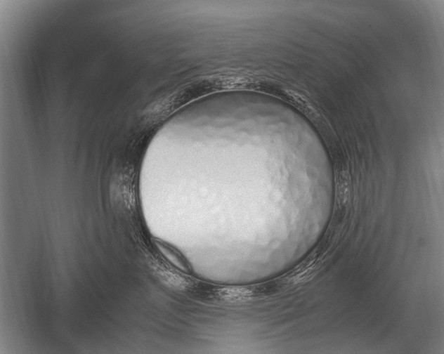 X0000051250719200507082150