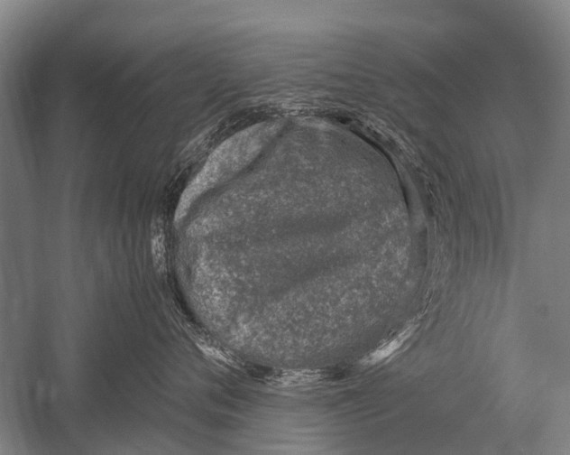 X0000051250720200507082150