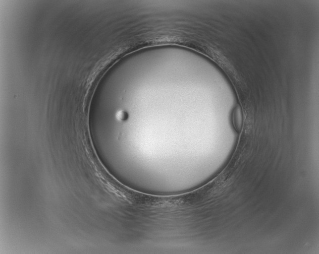 X0000051250721200507082149