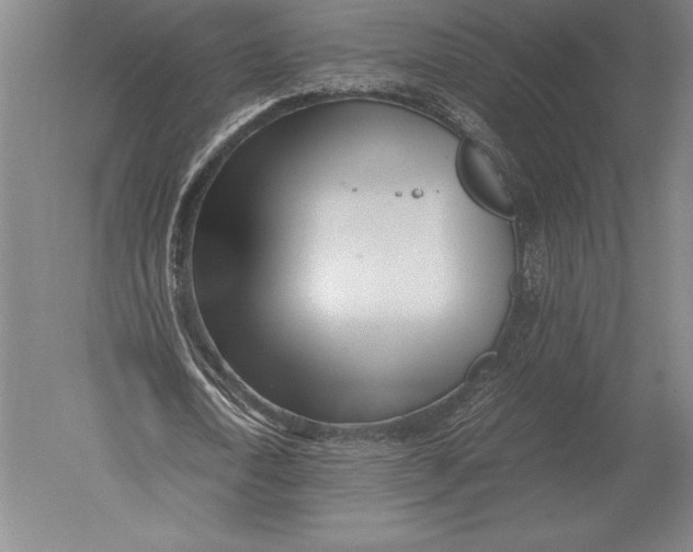 X0000051250722200507082149