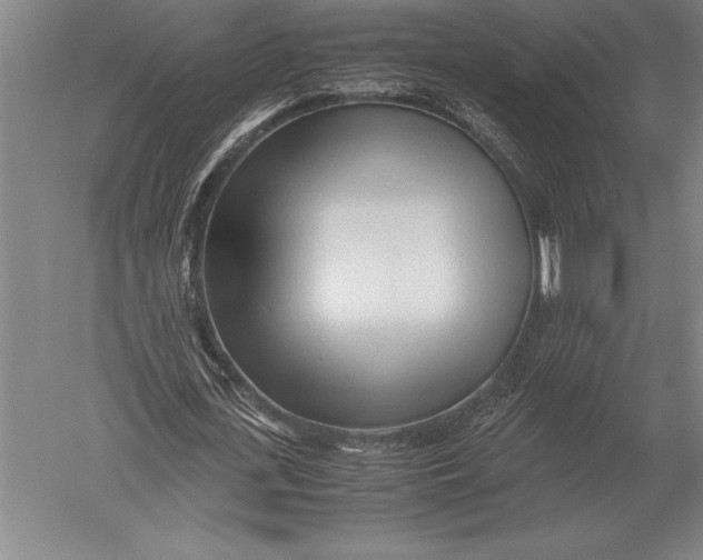 X0000051250723200507082149