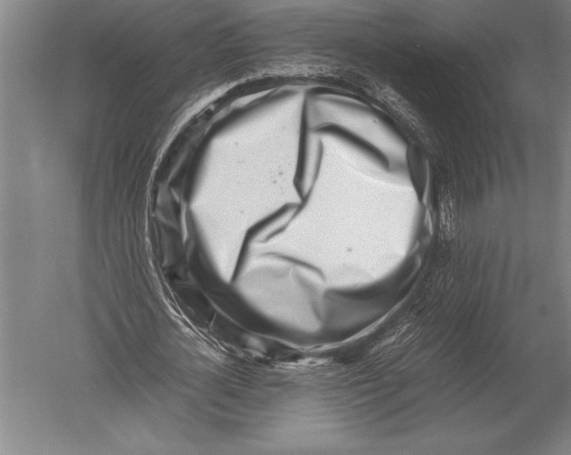 X0000051250724200507082149