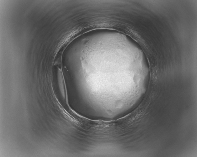 X0000051250725200507082149