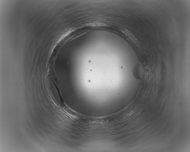 X0000051250727200507082149