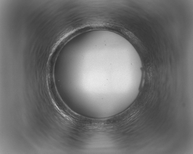 X0000051250728200507082149