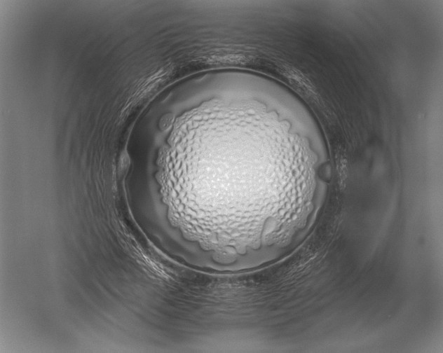 X0000051250729200507082149