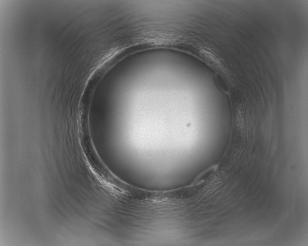 X0000051250730200507082149