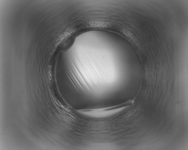 X0000051250731200507082149