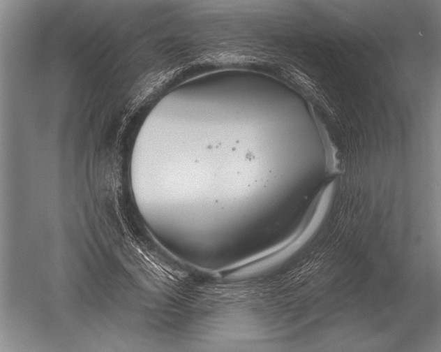 X0000051250732200507082149