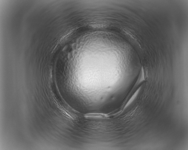 X0000051250733200507082149