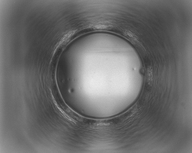 X0000051250734200507082149