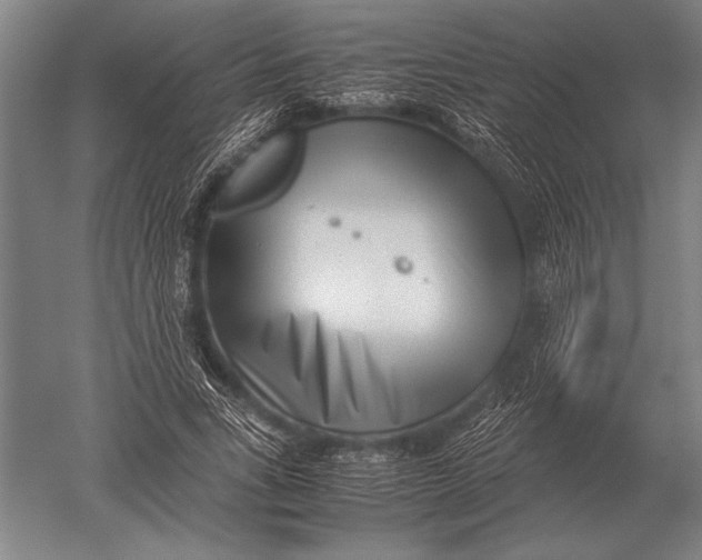 X0000051250735200507082149