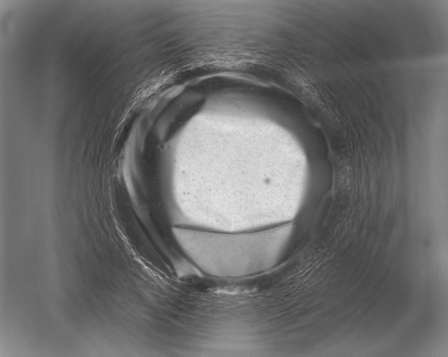 X0000051250736200507082149