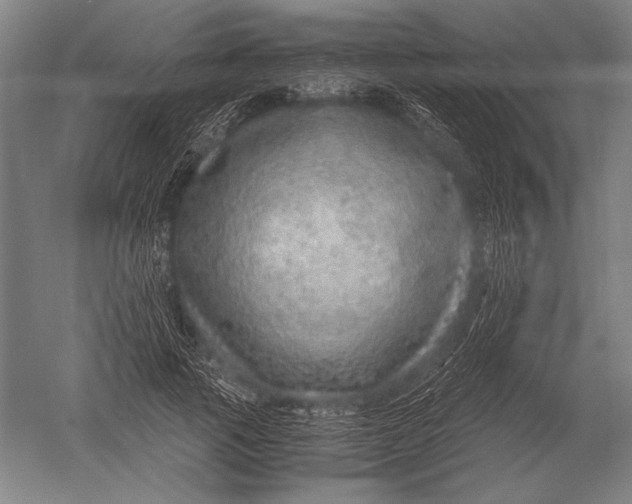 X0000051250737200507082149