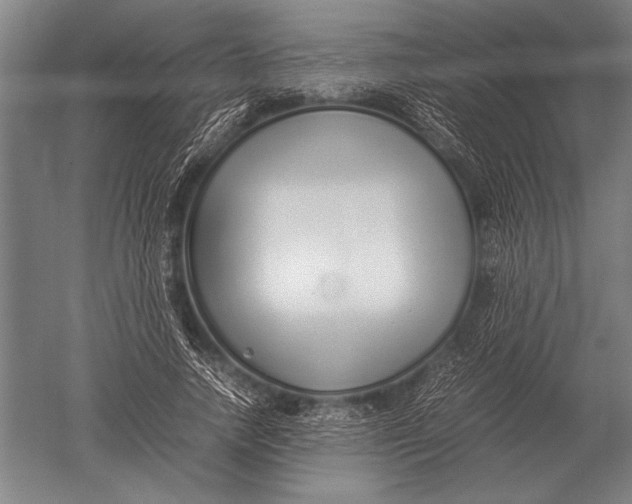 X0000051250738200507082149