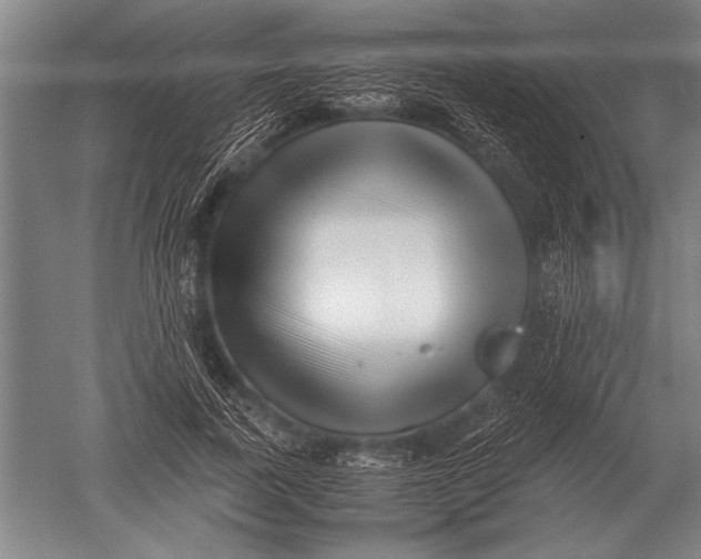 X0000051250739200507082150