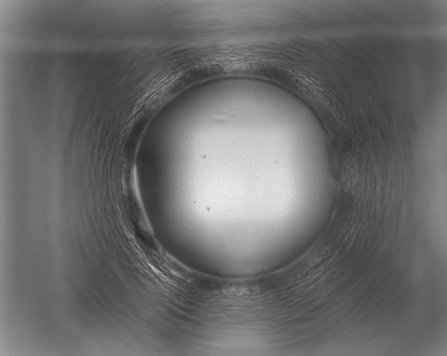 X0000051250740200507082150