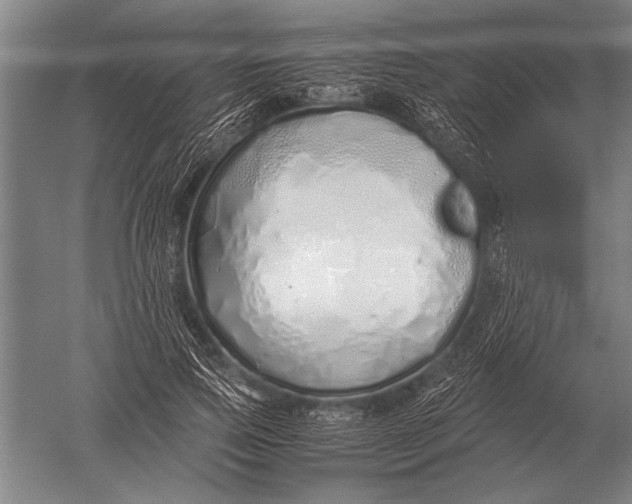 X0000051250741200507082150