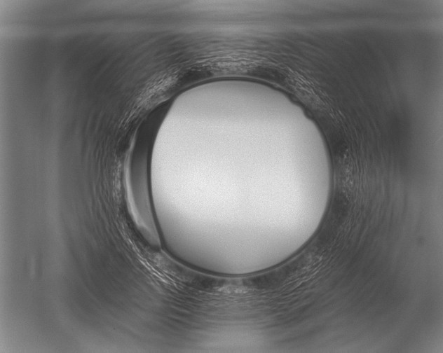 X0000051250742200507082150