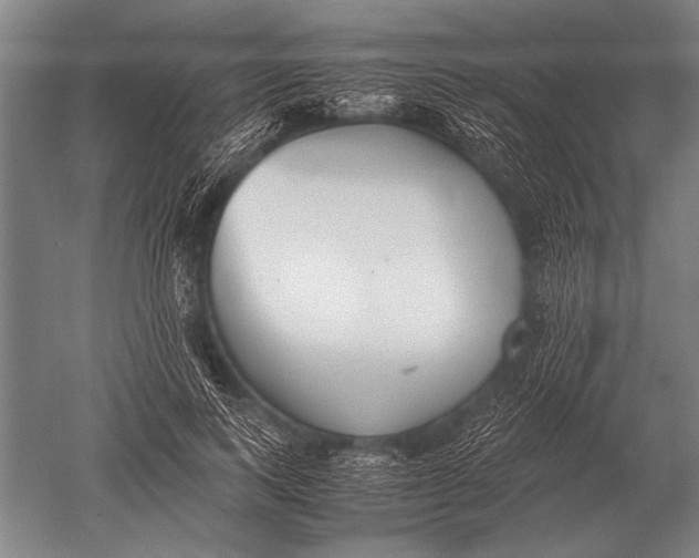 X0000051250743200507082150