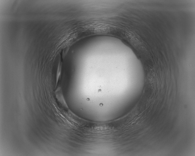 X0000051250744200507082150