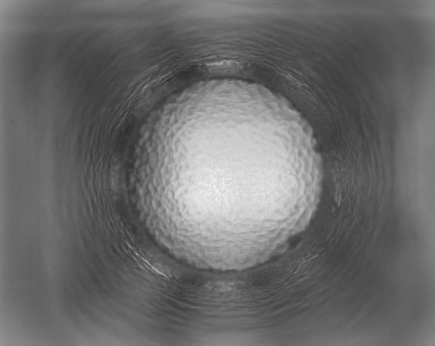 X0000051250745200507082150